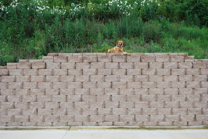 Dog training at K9 Mastery in Bastrop, TX, photo 58