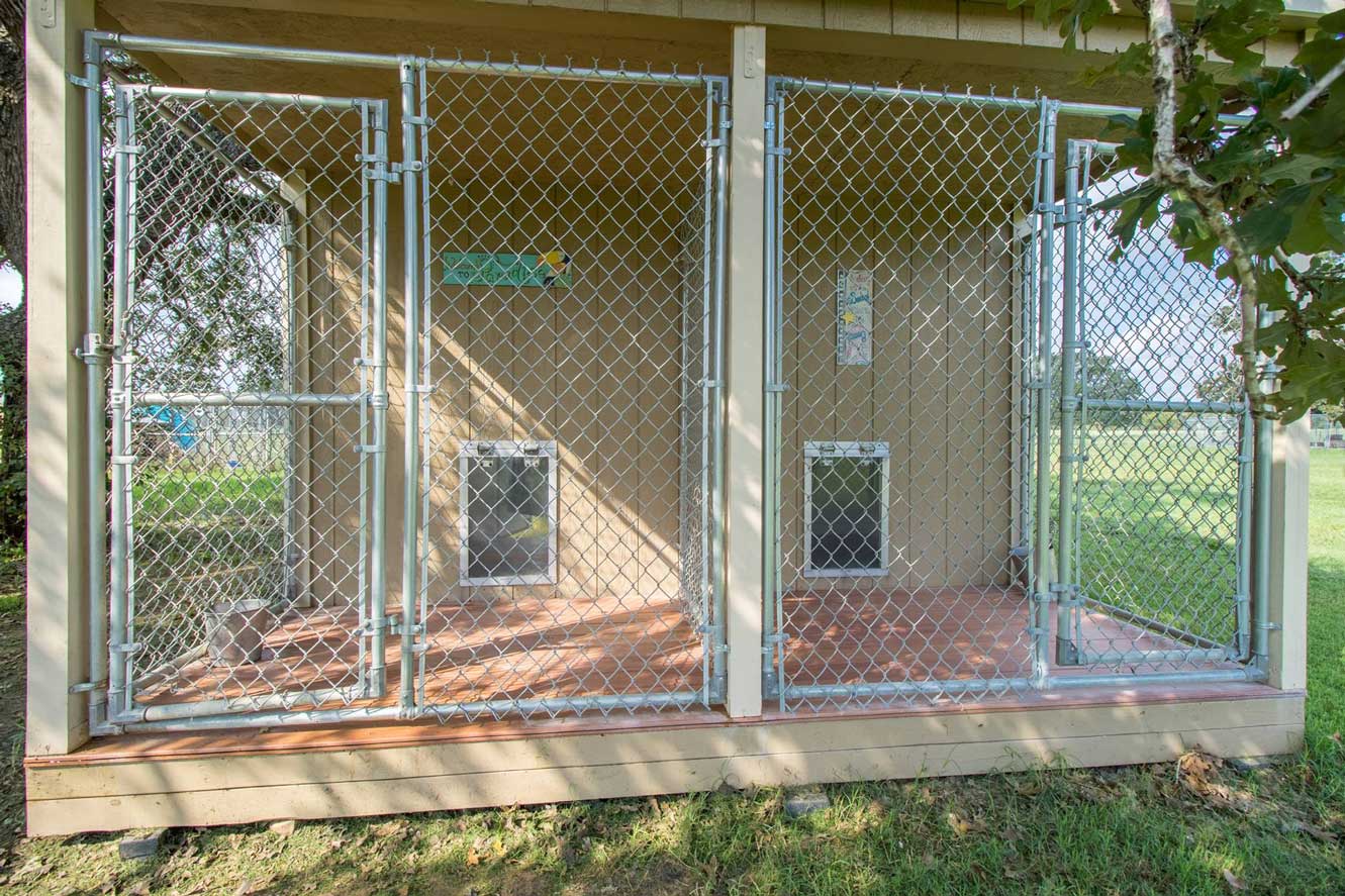 Dog training at K9 Mastery in Bastrop, TX, photo 29