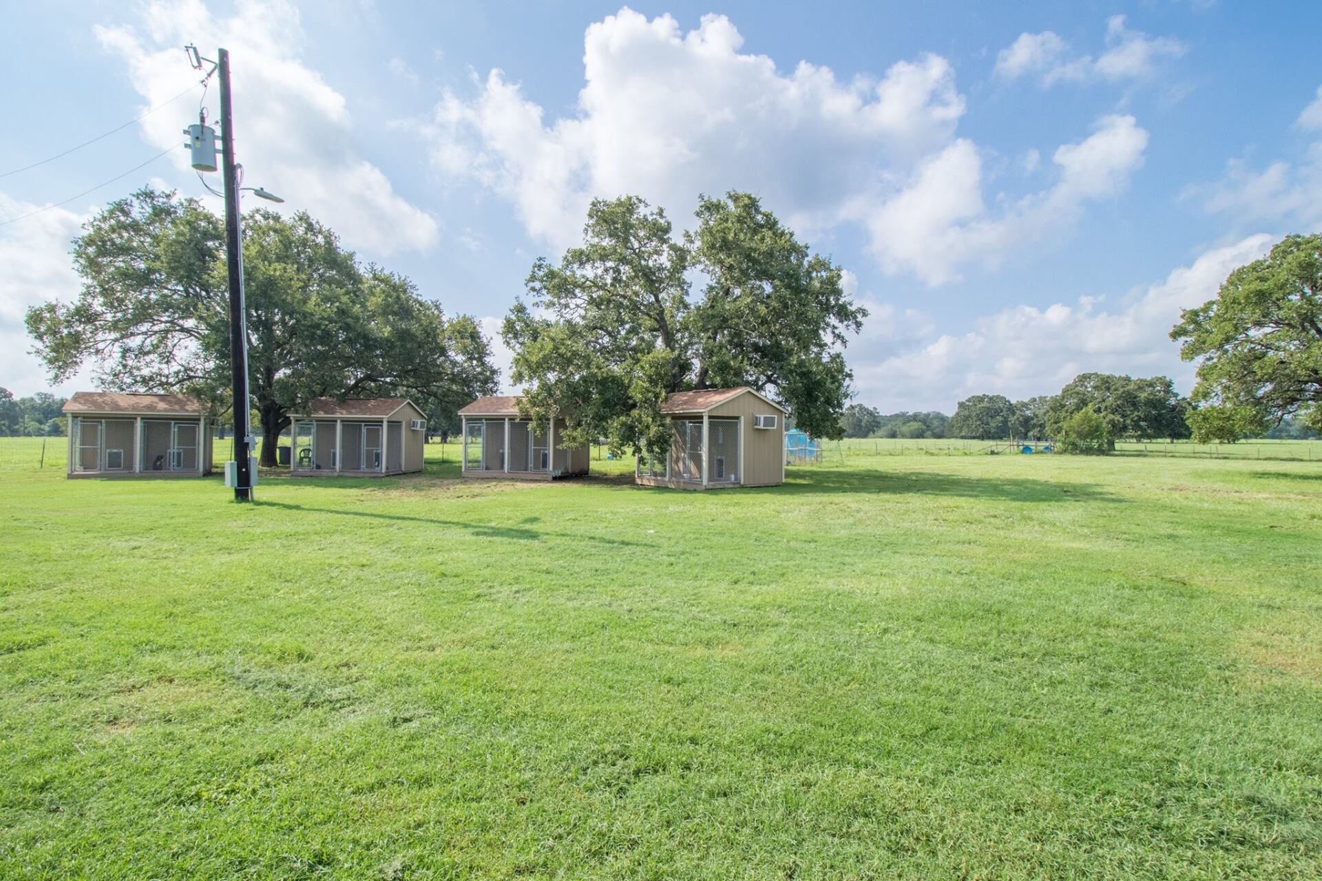 Dog training at K9 Mastery in Bastrop, TX, photo 46