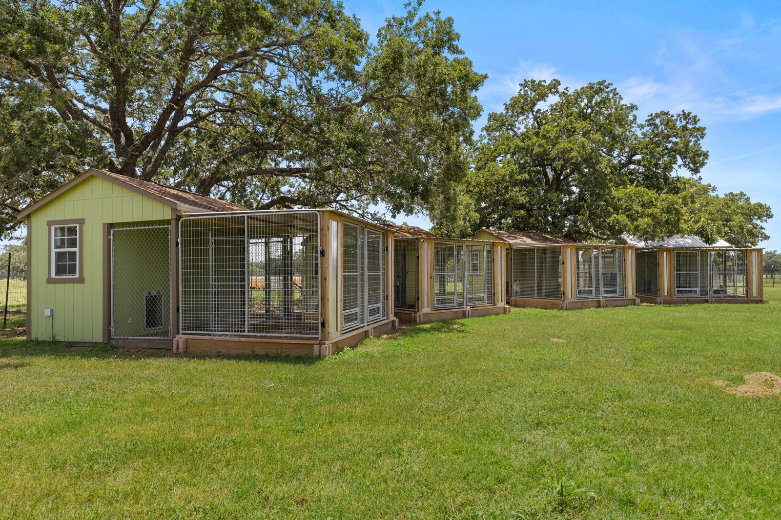 A row of green boarding bungalows with covered runs under large oak trees