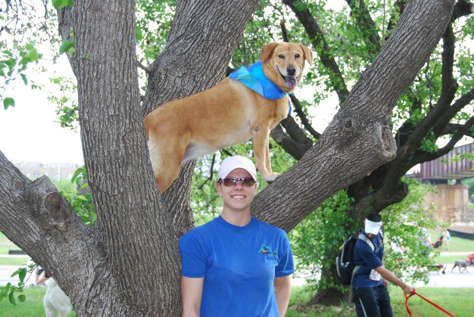 Dog training at K9 Mastery in Bastrop, TX, photo 37