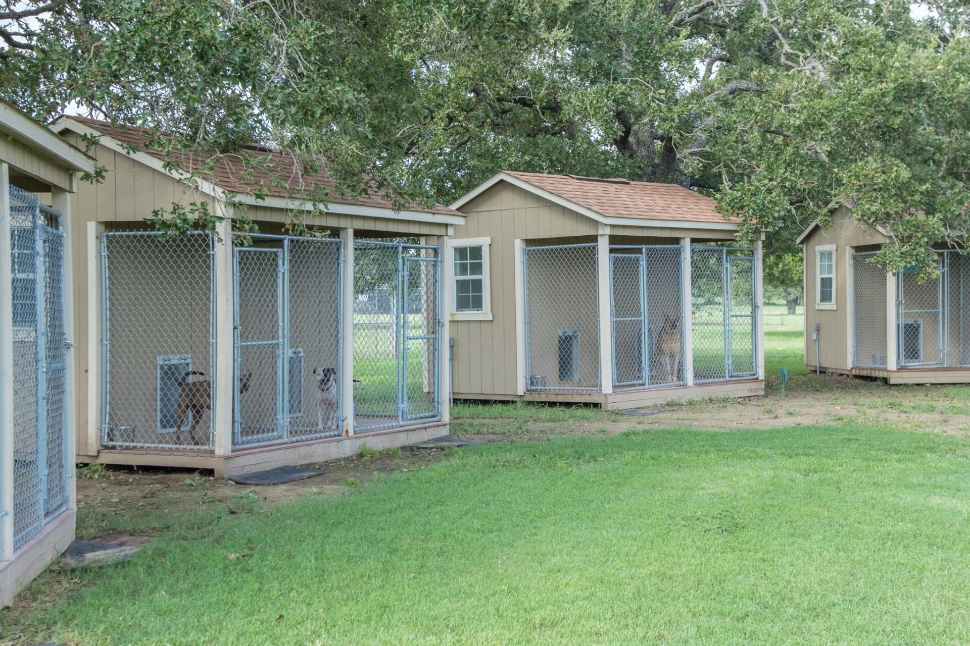 Dog training at K9 Mastery in Bastrop, TX, photo 26