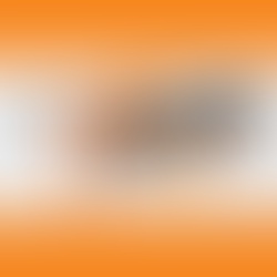 Crafting the Basis of Estimate: A Guide to Pricing Your Proposal Accurately