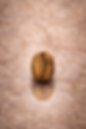 ChatGPT Image Jan 26, 2026, 11_01_52 AM.png