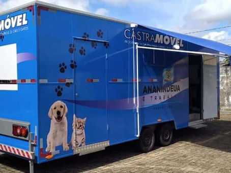 Ananindeua promove ação de castração para cães e gatos em situação de abandono