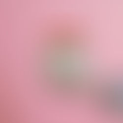 The 529-to-Roth Rollover – Everything You Need To Know