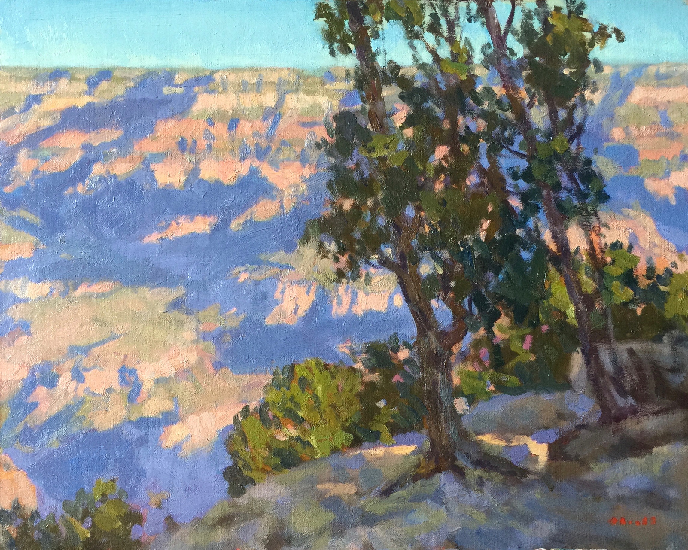 Morning Color 16x20