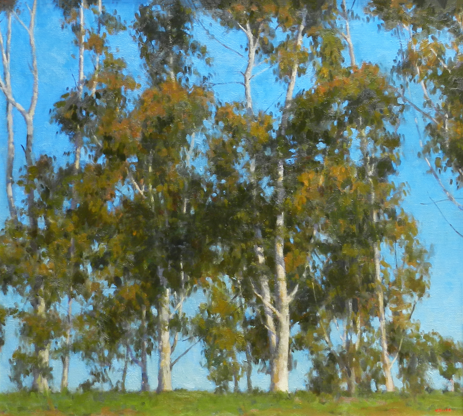 Majestic Eucalyptus 36x40