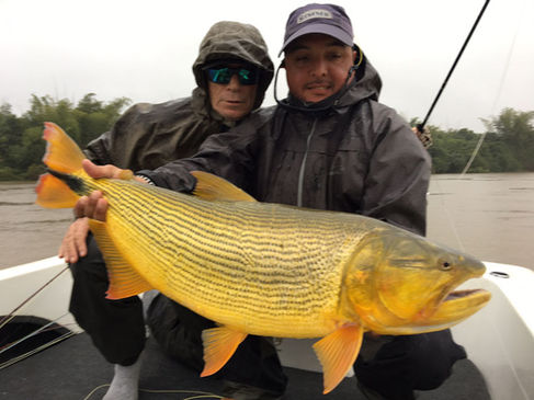 CCA7A5F0-A5CF-420E-8D76-83EFB529B81E copy.jpg