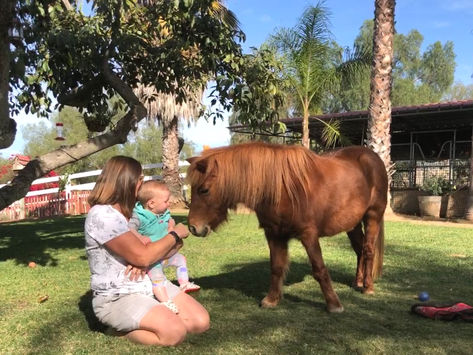 Welcome To Our Stable Life
