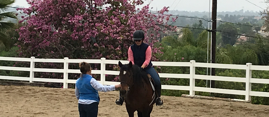 Teaching Riding Again and It Feels So Good