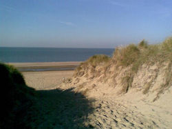 Strand031_preview