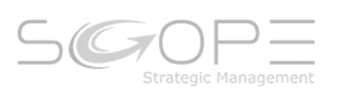 Scope Strategic Management
