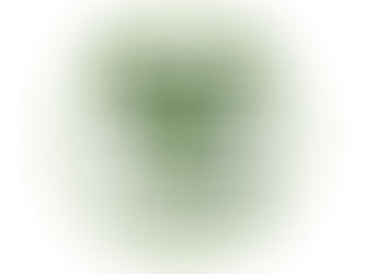 FISIOTERAPEUTA É DR (A)?