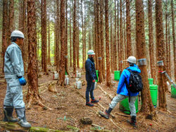 Ecohydrology field experiment
