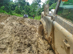 Post-rainstorm forest roads - Borneo