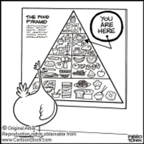 הדר מחפשת מתנדבים למחקר מעניין