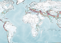 risk-embodied carbon.png