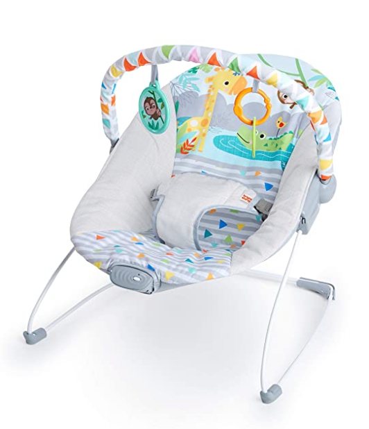 newborn essentials baby bouncer