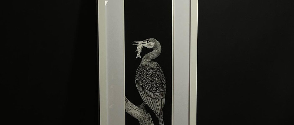 Cormorant Print