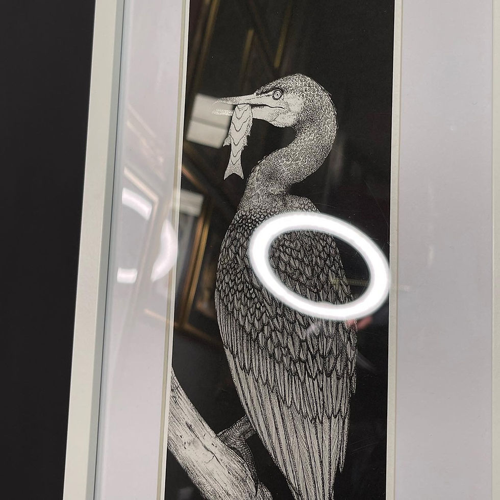 Thumbnail: Cormorant