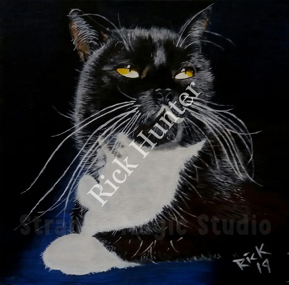 Cat portrait WM_edited