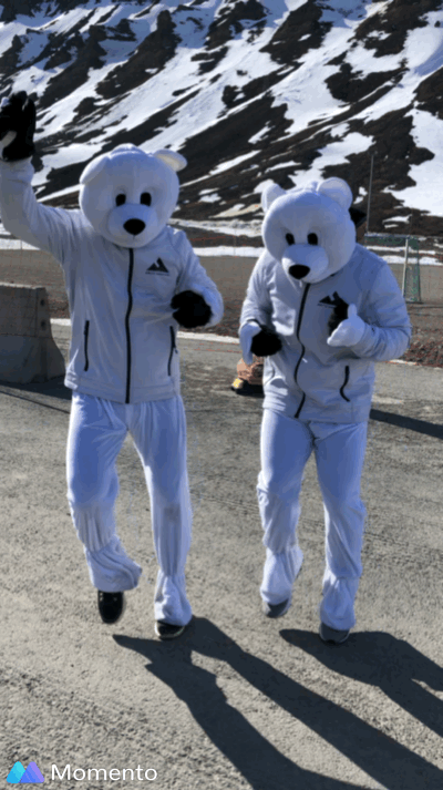 image1.gif