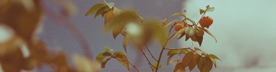 0614-SOLARIS-100-26.png