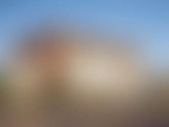 Deputy Treasurer Accused of Political Activity on County Time