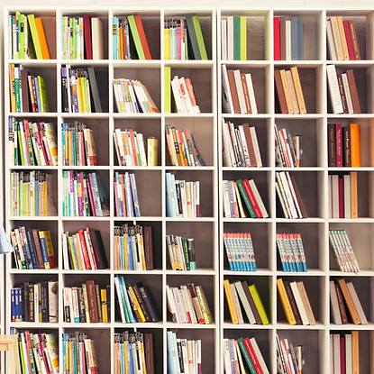 Girl with Bookshelves