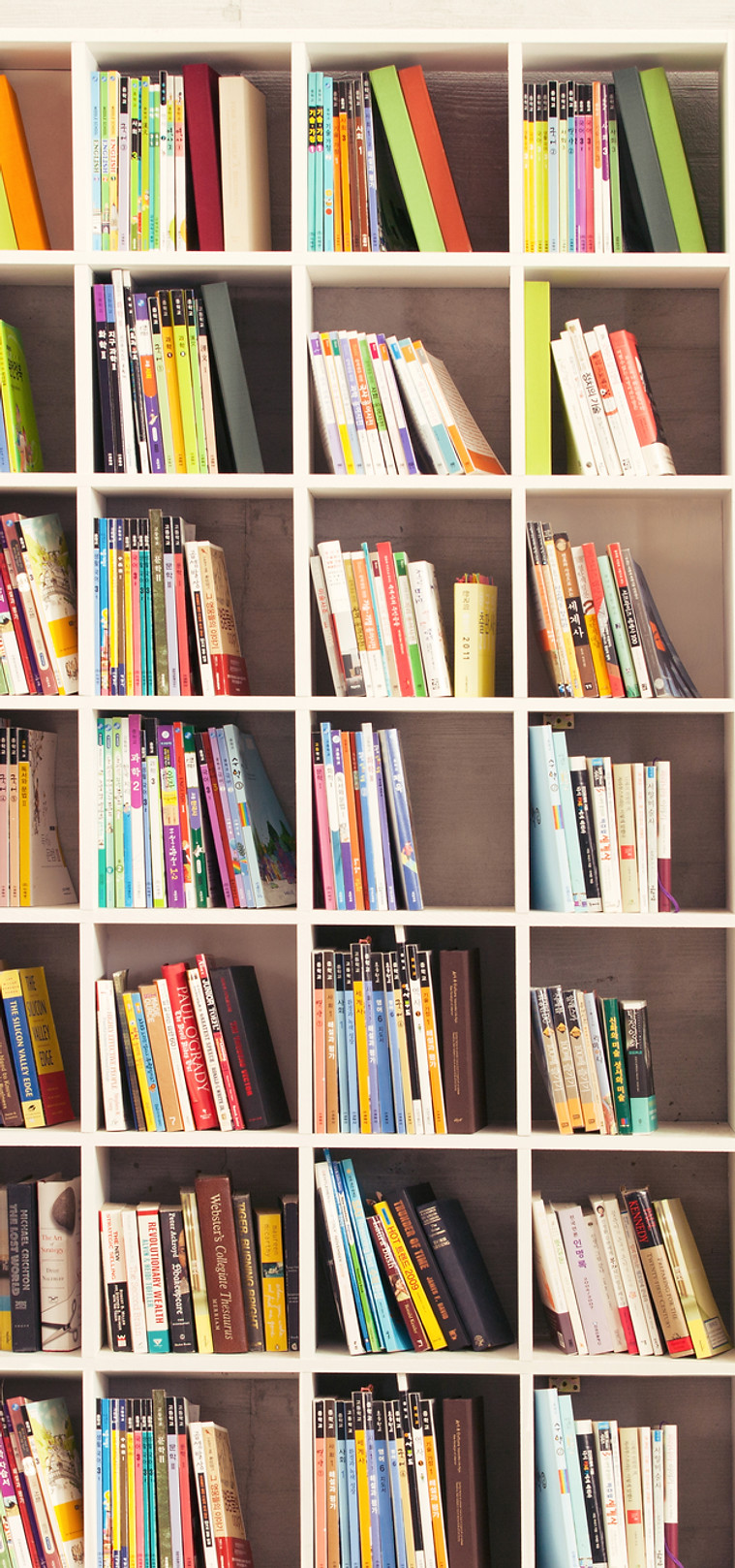 Girl with Bookshelves