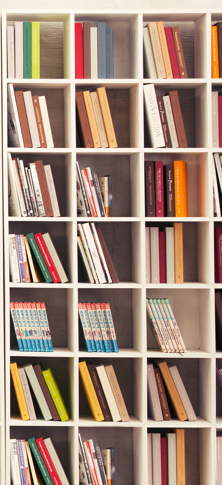 Girl with Bookshelves