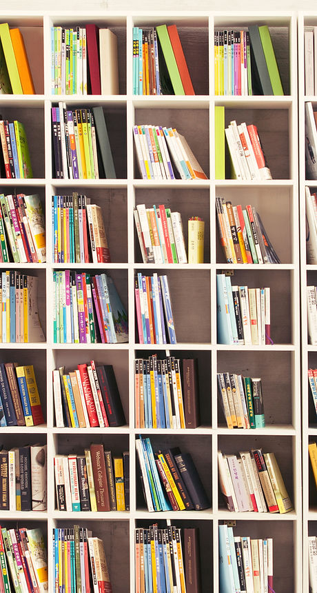 Girl with Bookshelves