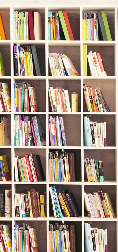 Girl with Bookshelves