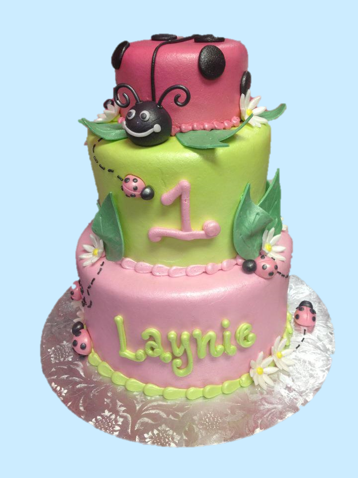 Lady Bug