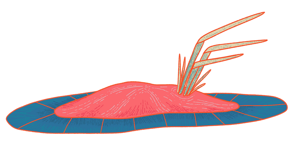 Imagen 0589.PNG