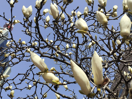 北大文学部社会学教室同窓会 2025年総会