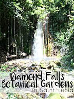 Diamond Falls Botanical Gardens_St Lucia