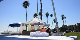 Colorful bottles at an outdoor vendor booth under palm trees