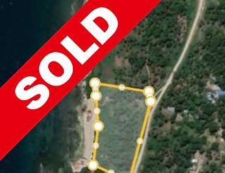 bweeju plot - SOLD (3).png