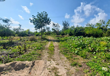 Jambiani land for sale aerial photo over 100 acres (5).jpg
