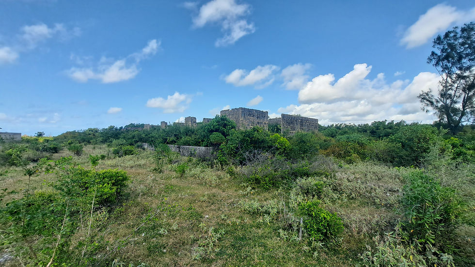 Jambiani land for sale photo over 100 acres (14)