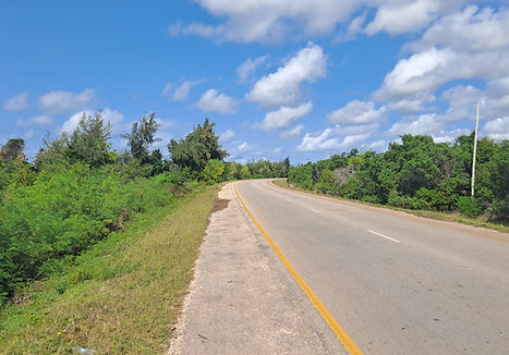 Jambiani land for sale photo over 100 acres (2).jpg