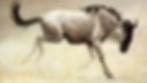 wp8673566.jpg