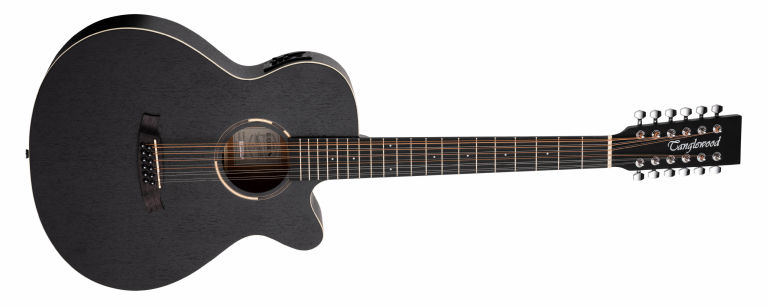 Acoustic guitar, ebony fretboard, soundhole, and body design, studio shot, Spider Music Ltd.
