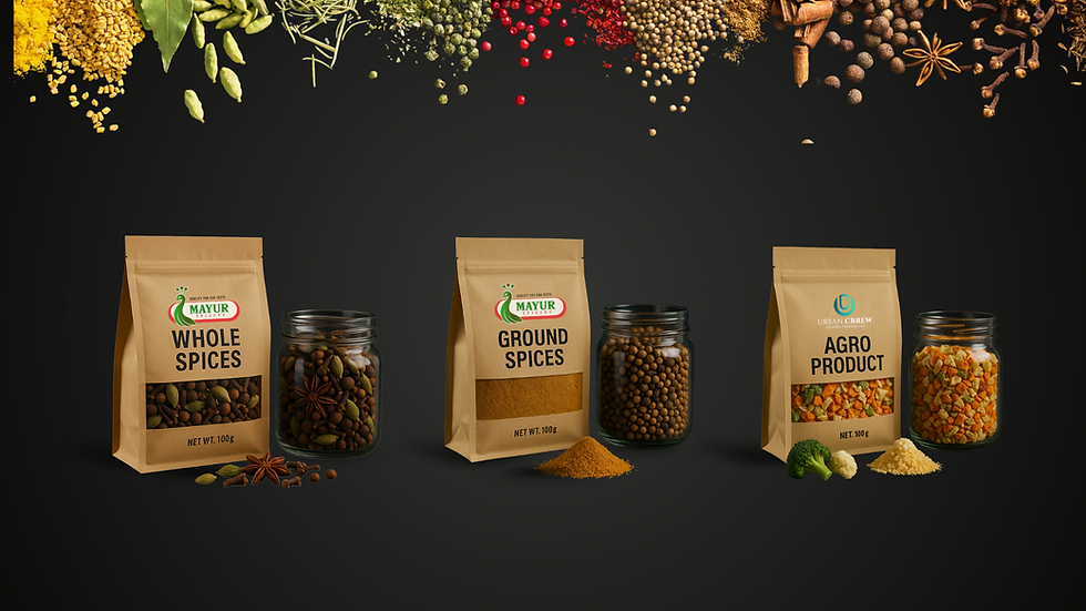 Mayur Spicery Spice Catalogue 01 (1920 x 1080 px) (6).png