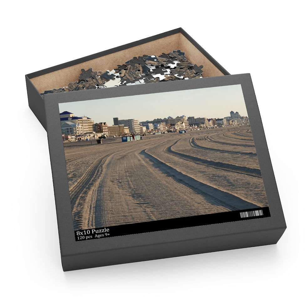 Thumbnail: OCMD Beach Puzzle (120, 252, 500-Piece)
