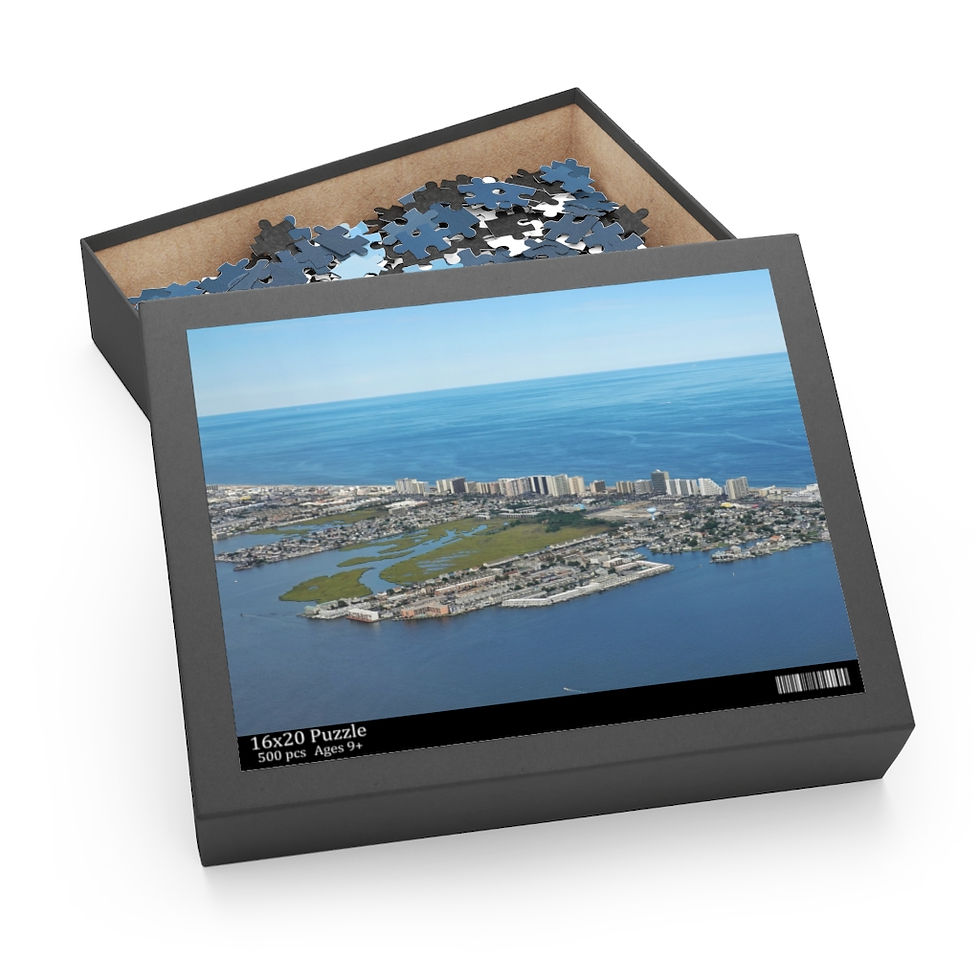 Thumbnail: OCMD Aerial High Rise Photo Puzzle (120, 252, 500-Piece)