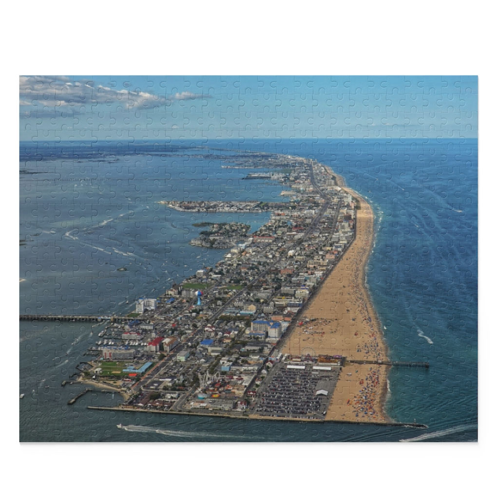 OCMD Aerial Photo Puzzle (120, 252, 500-Piece)