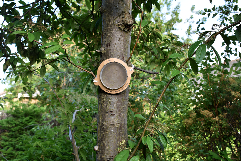Monitoring tree health threats